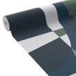 FIRISCO