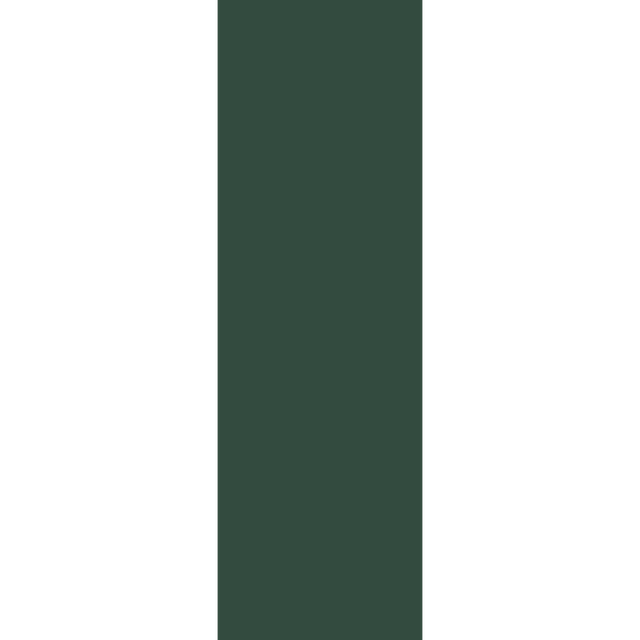4MURS Papier peint intissé OPAL coloris vert sapin