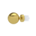 TROMPETTE