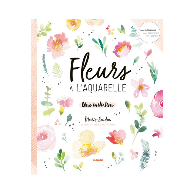Livre arts FLEURS A L'AQUARELLE UNE INITIATION