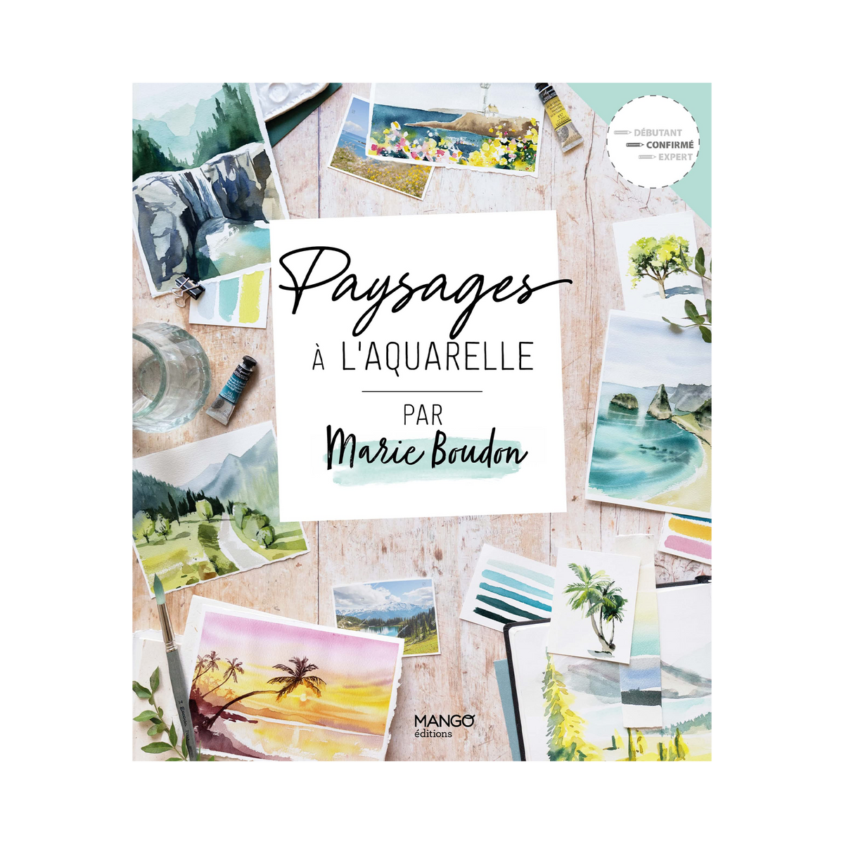 Livre arts Paysage a l'aquarelle Multicolore
