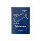 L'AVANT GARDISTE Carnet Astro gémeaux Bleu