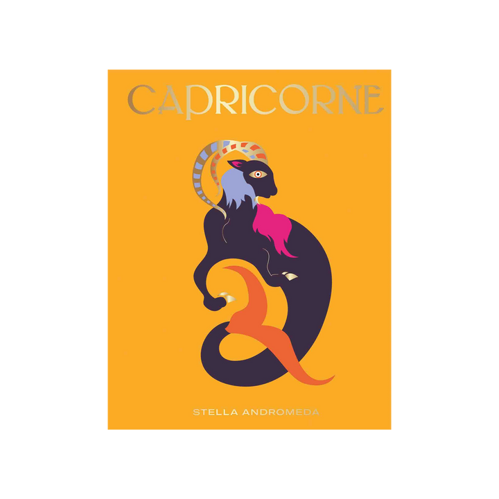 HACHETTE PRATIQUE Livre bien-être Capricorne Orange