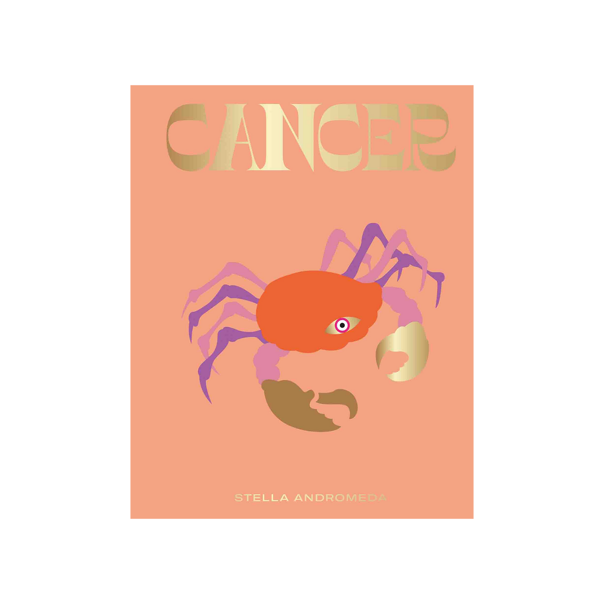 HACHETTE PRATIQUE Livre bien-être Cancer Orange