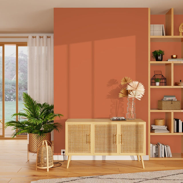 Absolu Peinture Peinture terre cuite Mat 2,5 L