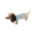 CHIEN MARCEL