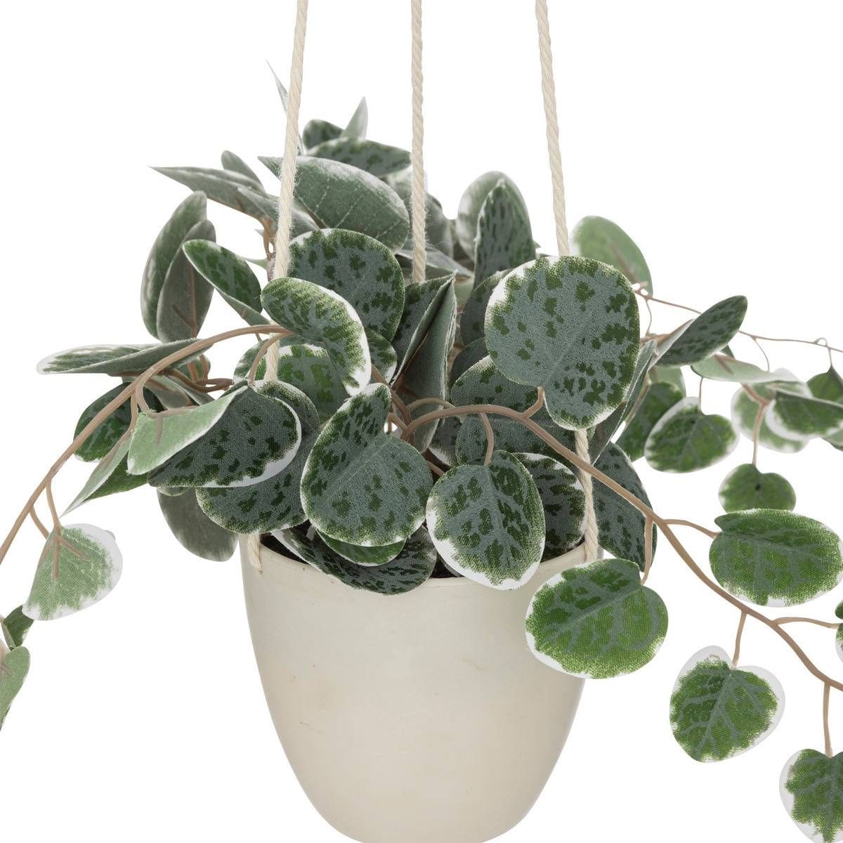 Plante artificielle Ceropegia Vert