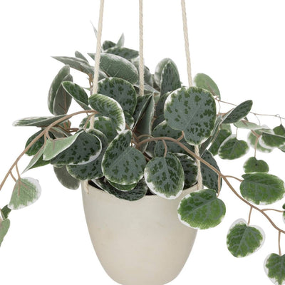 Plante artificielle Ceropegia Vert