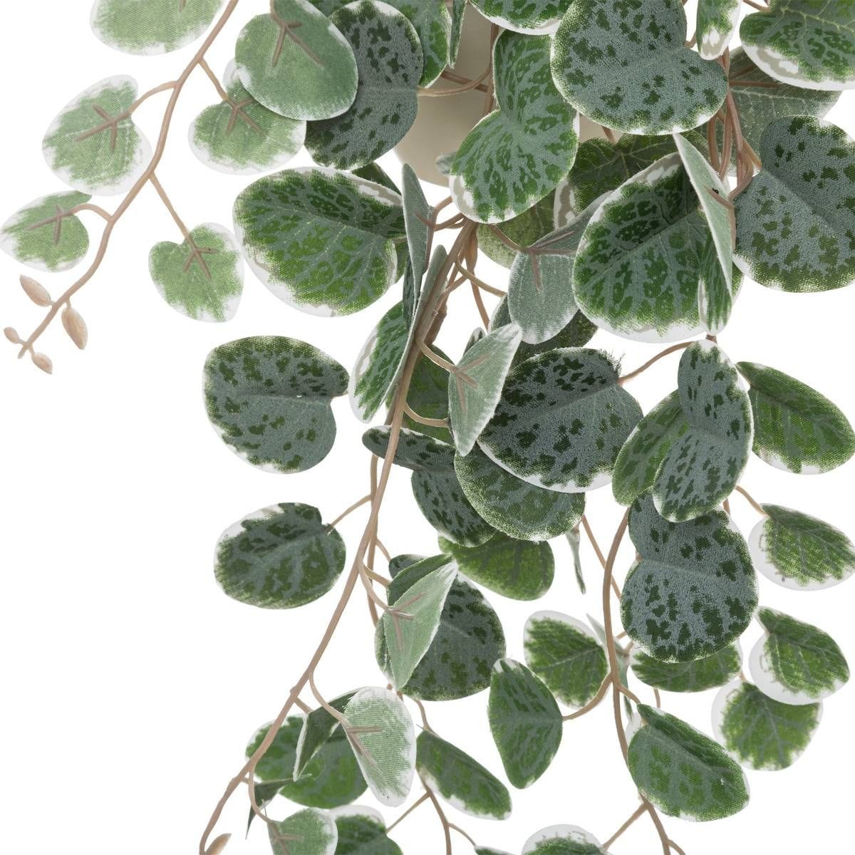 Plante artificielle Ceropegia Vert