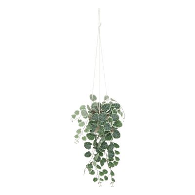 Plante artificielle Ceropegia Vert