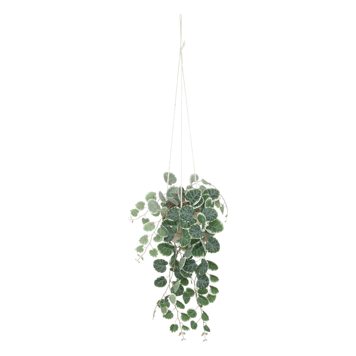 Plante artificielle Ceropegia Vert