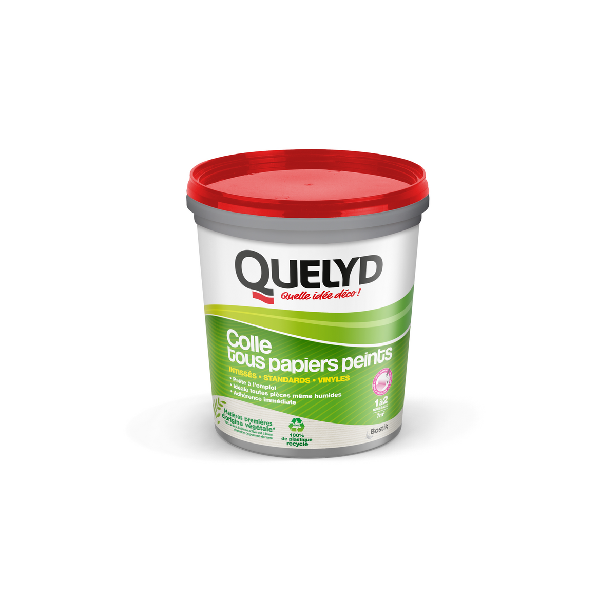 QUELYD Colle tous papiers peints Quelyd 1Kg