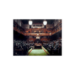 MONKEY PARLIAMENT