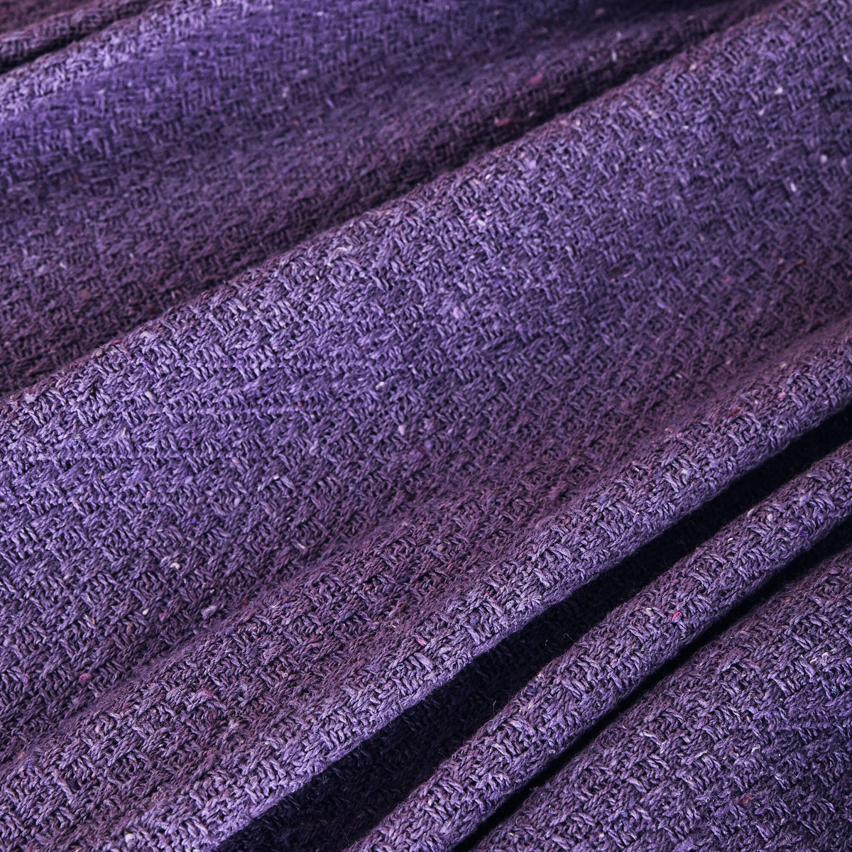 Plaid Crixus Violet