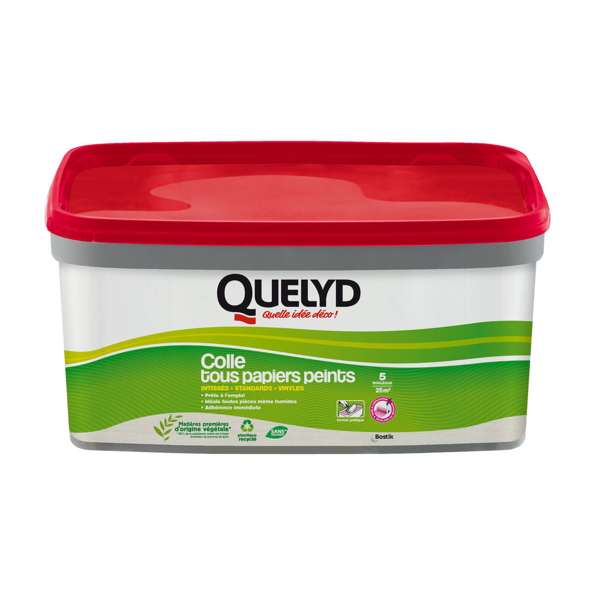 QUELYD Colle tous papiers peints Quelyd 3Kg