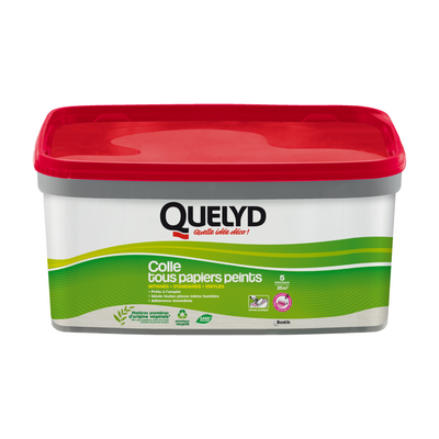 QUELYD Colle tous papiers peints Quelyd 3Kg