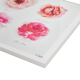 4MURS Image sous verre Roseraie Rose