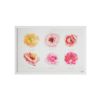 4MURS Image sous verre Roseraie Rose