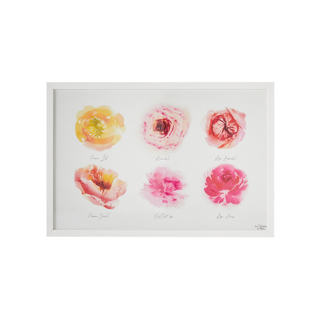 4MURS Image sous verre ROSERAIE 60 x 40 cm