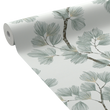 ALBIZIA