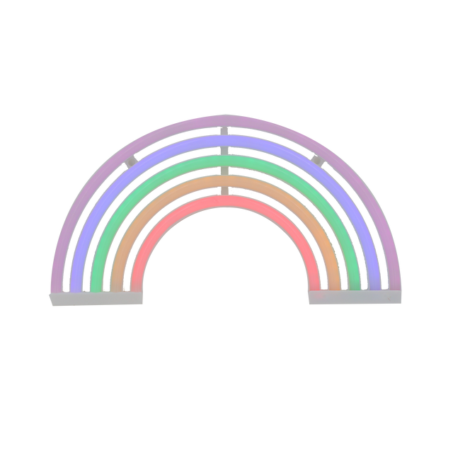 Néon ARC EN CIEL coloris multicolore