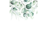 EUCALYA