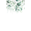 EUCALYA