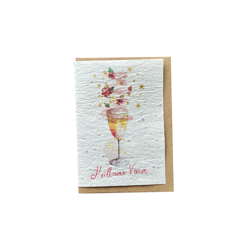 LES CARTES DE LULU Carte Meilleurs voeux Blanc