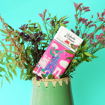 LE CHOCOLAT DES FRANÇAIS Chocolat Croco 80G