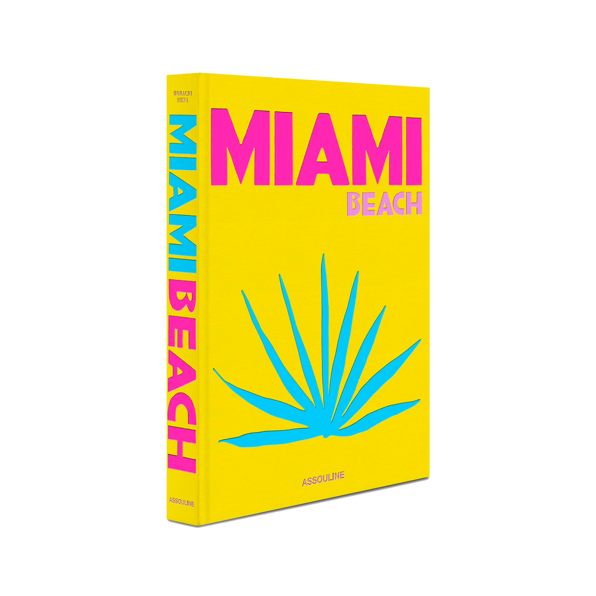 ASSOULINE Livre voyage et nature Miami beach Jaune