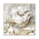 4MURS Tableau embelli Nude poesie Beige