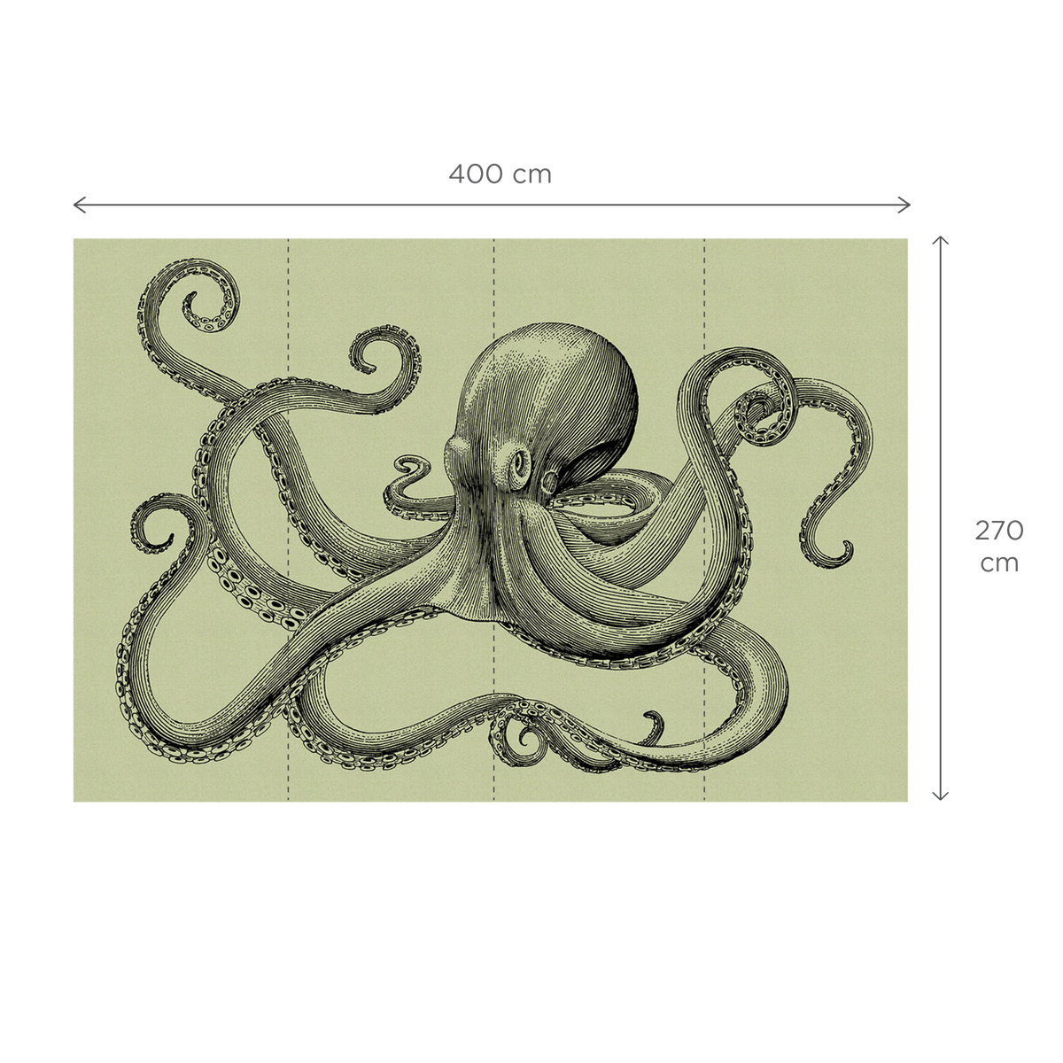 Papier peint panoramique XL Polpo Vert tilleul et noir Satiné