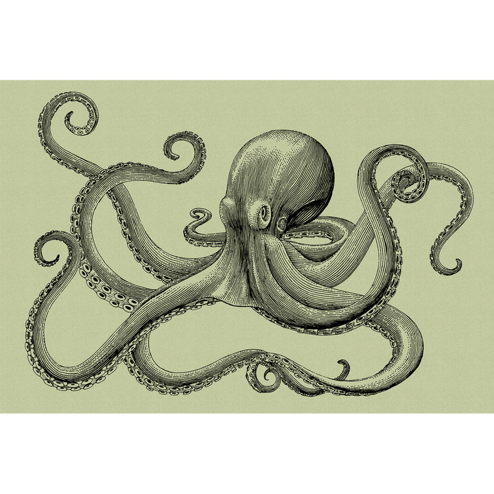 Papier peint panoramique XL Polpo Vert tilleul et noir Satiné