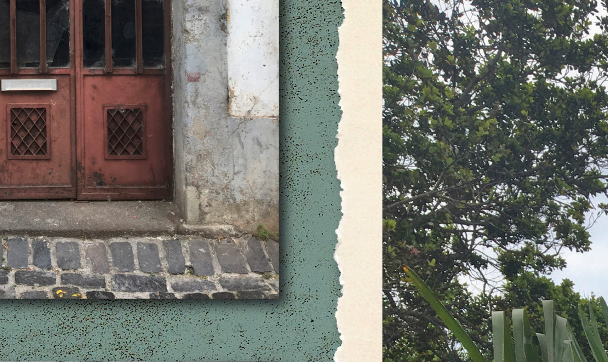 Papier peint panoramique XL Cariota Vert bouteille Satiné