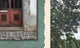 Papier peint panoramique XL Cariota Vert bouteille Satiné