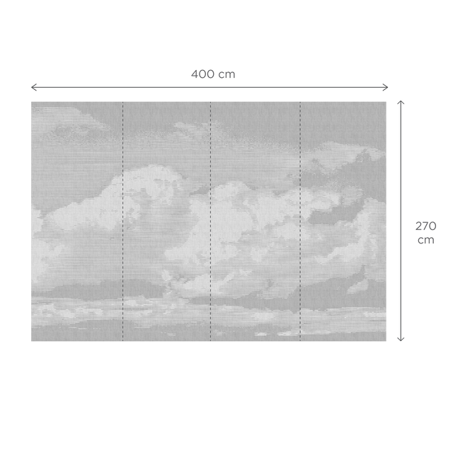 Papier peint panoramique XL NUBE 400 x 270 cm gris perle
