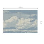 NUBE
