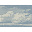 NUBE