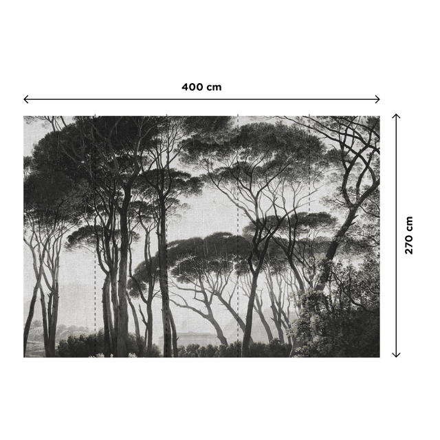 Papier peint panoramique XL BOSQUET 400 x 270 cm anthracite