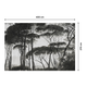 Papier peint panoramique XL Bosquet Anthracite Satiné