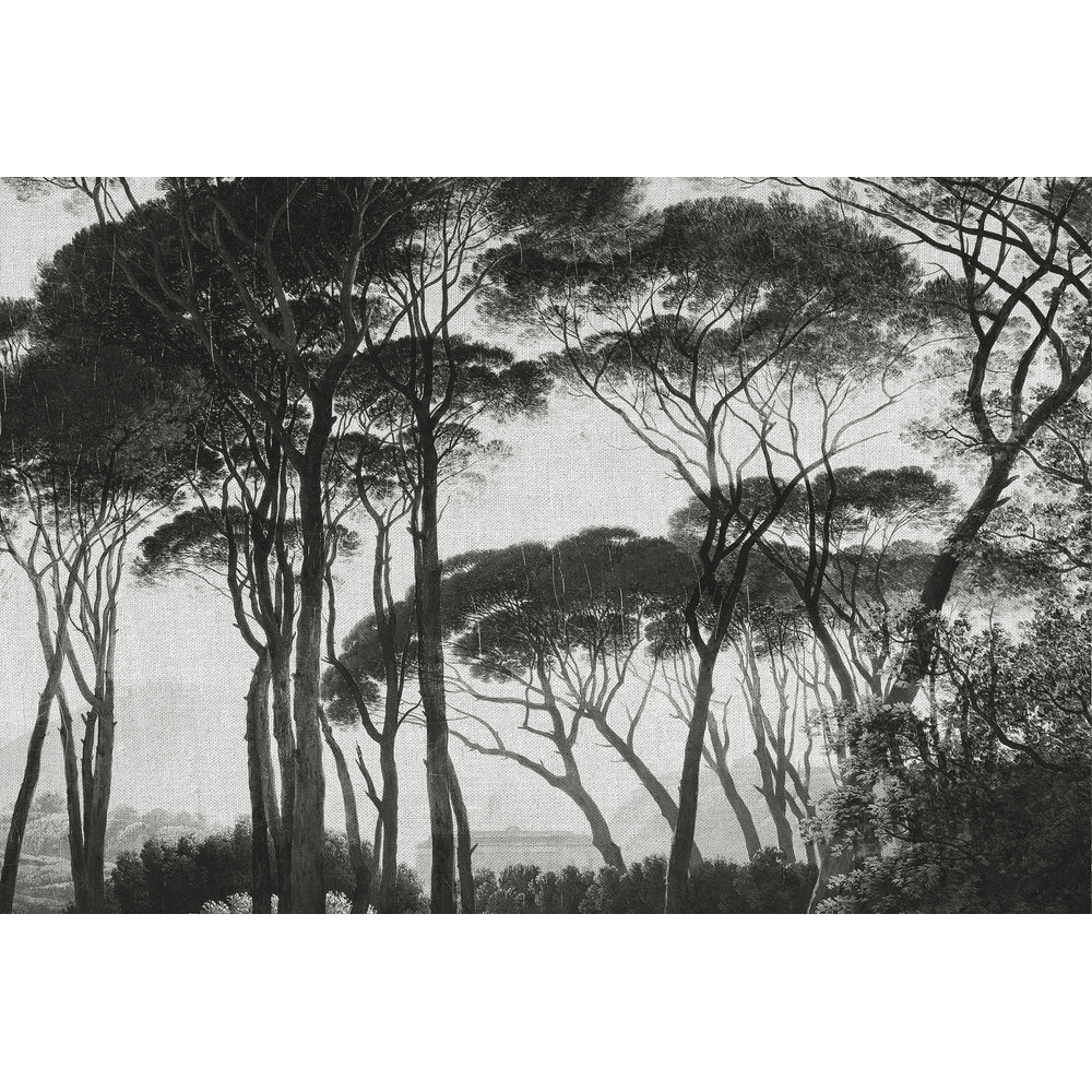 Papier peint panoramique XL Bosquet Anthracite Satiné