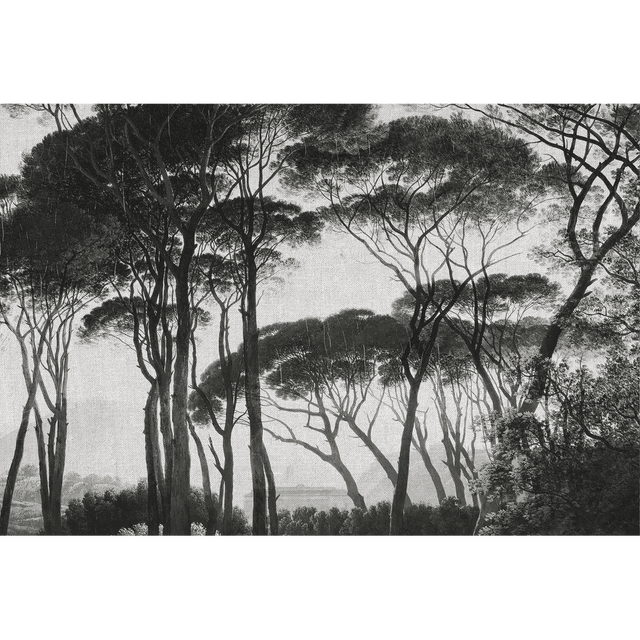 Papier peint panoramique XL BOSQUET 400 x 270 cm anthracite