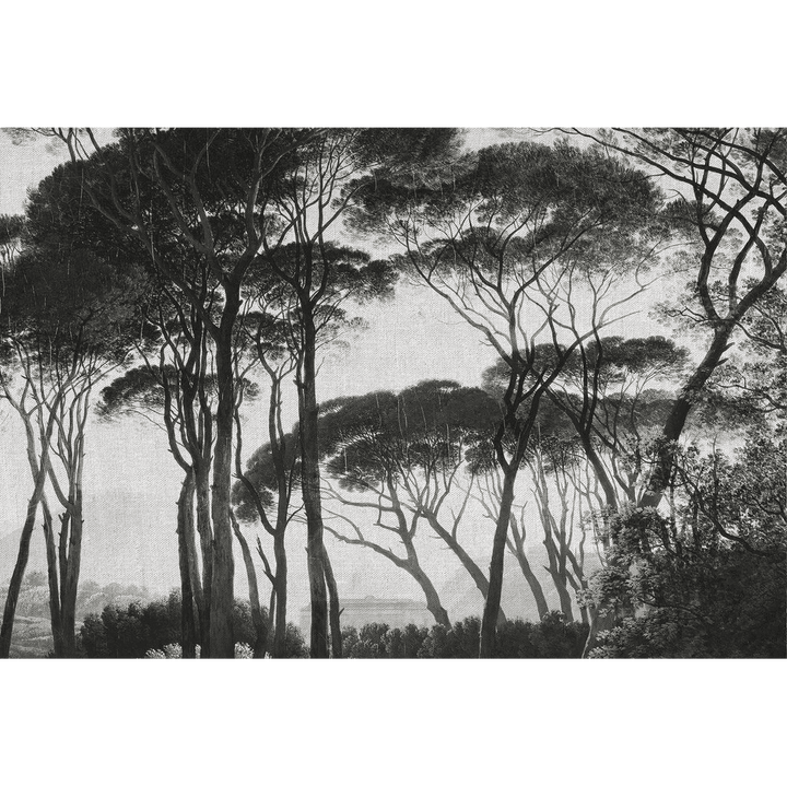 Papier peint panoramique XL Bosquet Anthracite Satiné