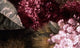 Papier peint panoramique XL Filamene Mauve et noir Satiné