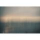 Papier peint panoramique XL Lutime Vert kaki Satiné
