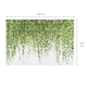 Papier peint panoramique XL Lierra Vert feuille Satiné