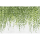 Papier peint panoramique XL Lierra Vert feuille Satiné