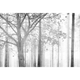 Papier peint panoramique XL Agatie Gris moyen Satiné