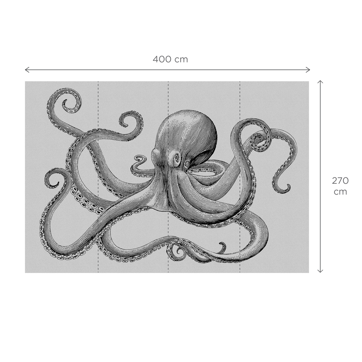 Papier peint panoramique XL Polpo Gris perle et noir Satiné