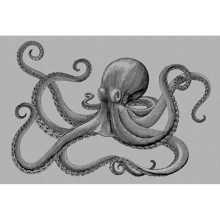 Papier peint panoramique XL Polpo Gris perle et noir Satiné